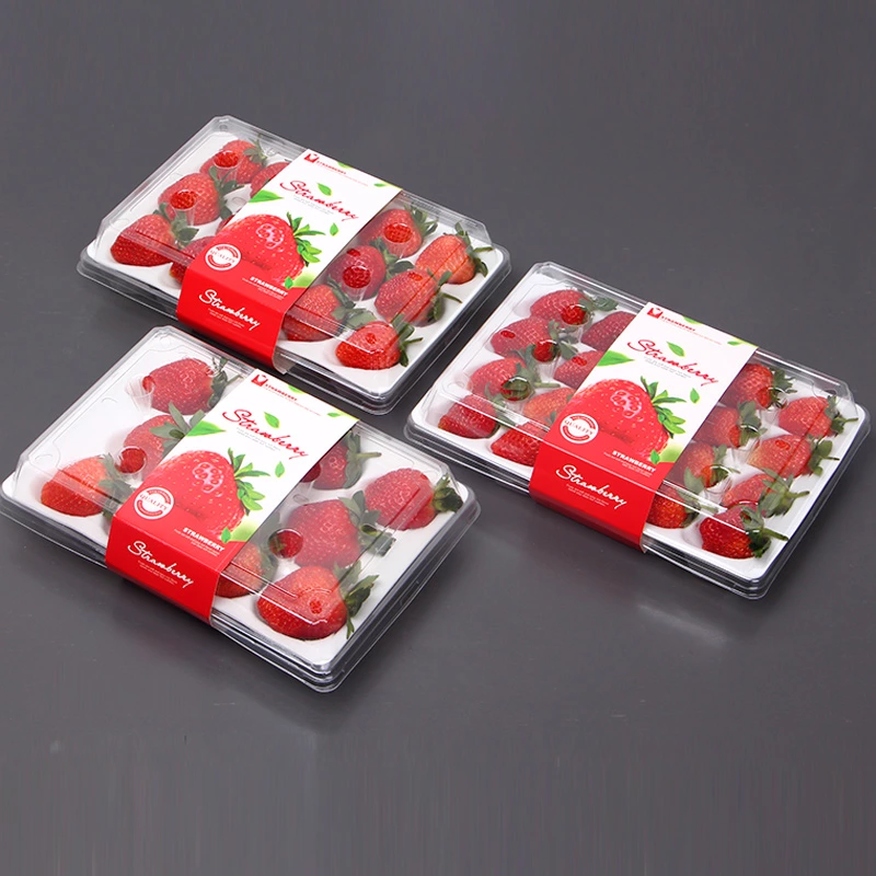 Strawberry clamshell box with PE foam tray and paper sleeve