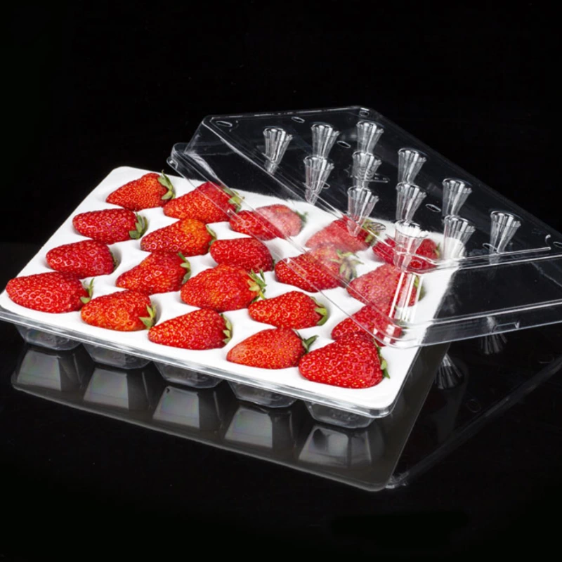 9 15 20cells Custom Strawberry PE Foam Tray And Plastic Box