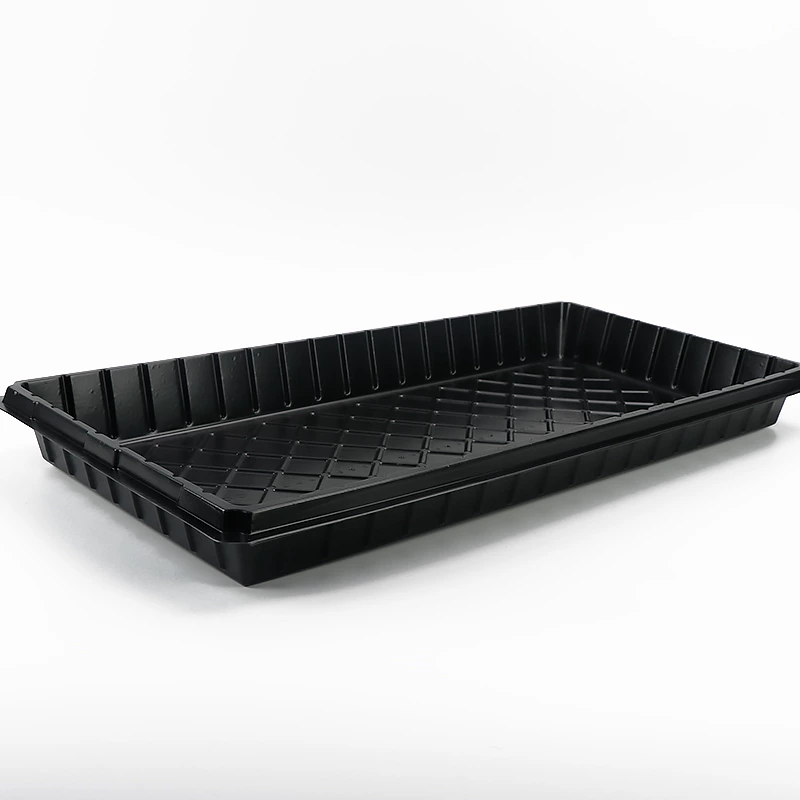 Black germination tray