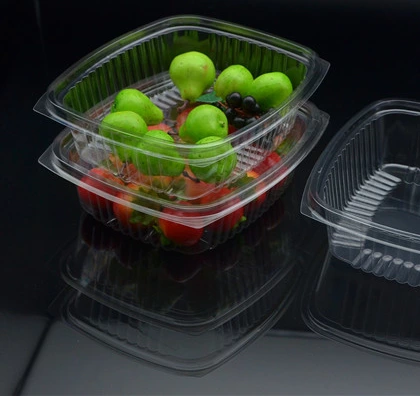 Disposable Plastic Boxes with Cover Portable Fruits Case One-off Takeout Food Containers