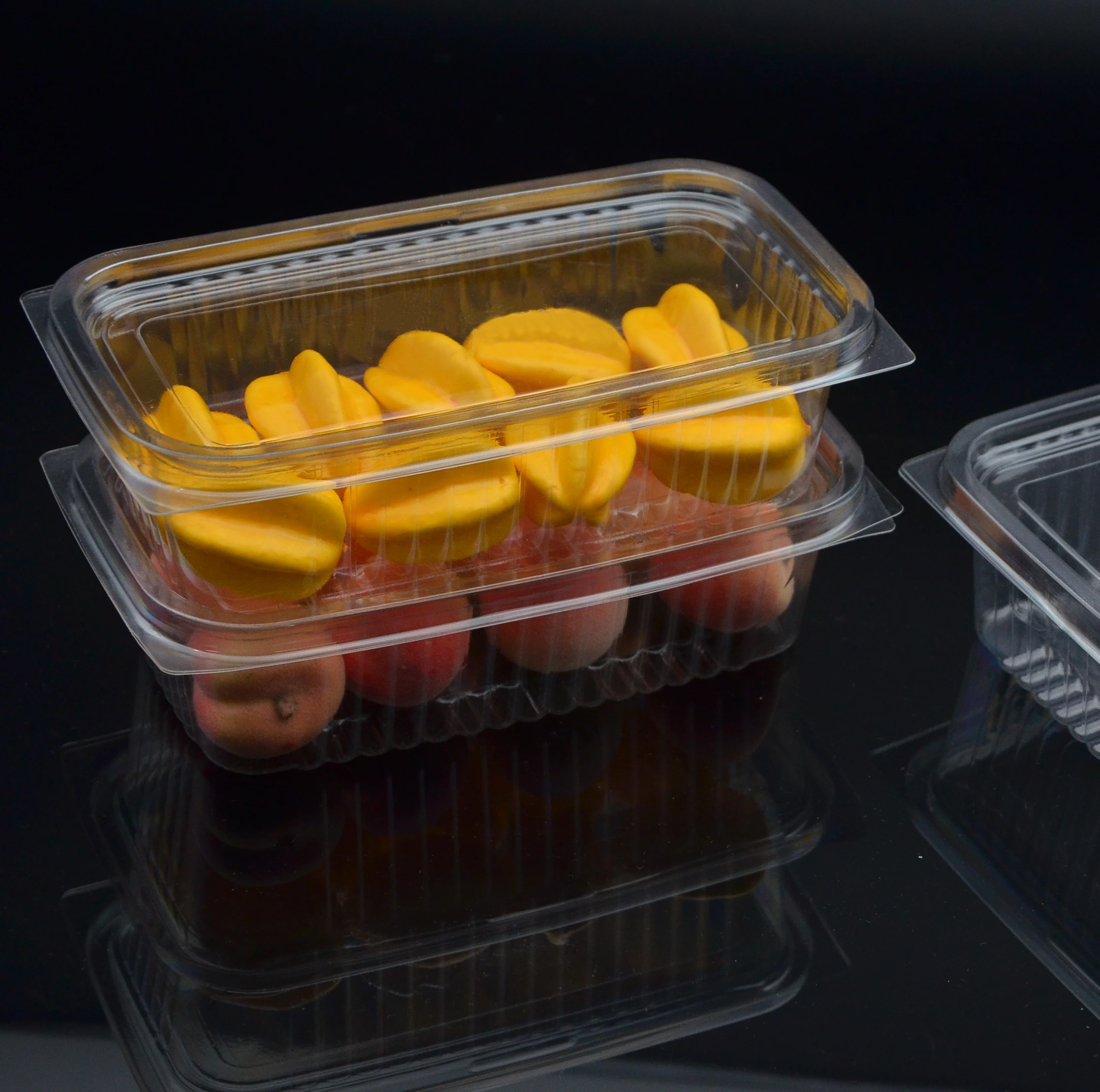 Compostable Rectangular Deli Containers w/Lid