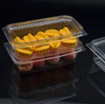 Compostable Rectangular Deli Containers w/Lid