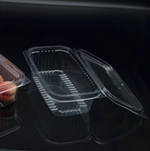 Compostable Rectangular Deli Containers w/Lid