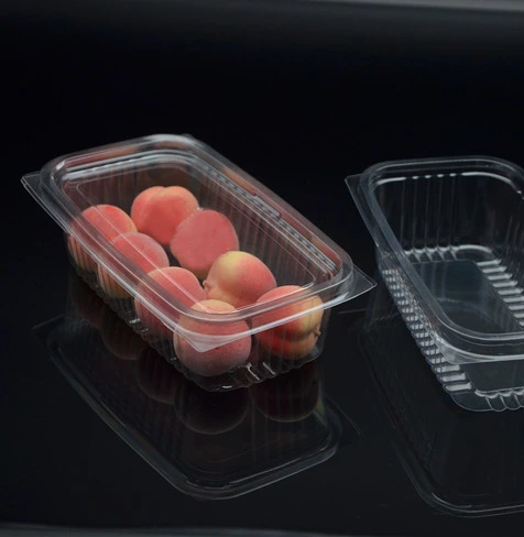 Compostable Rectangular Deli Containers w/Lid