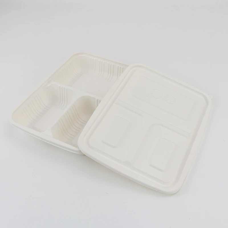 Disposable 3-Compartment Food Storage Box