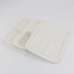 Disposable 3-Compartment Food Storage Box