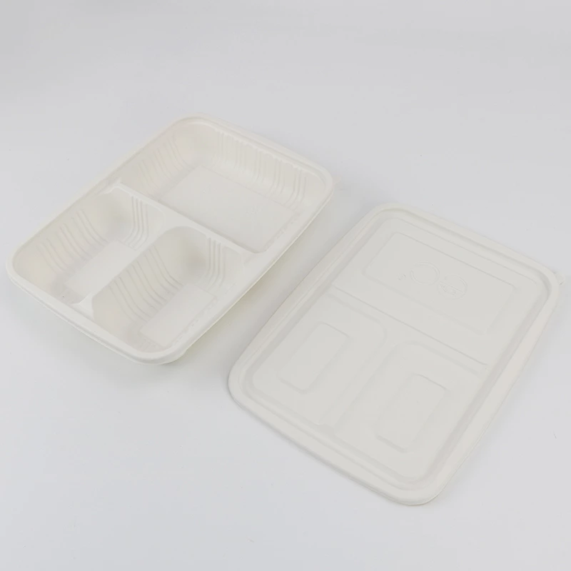 Disposable 3-Compartment Food Storage Box