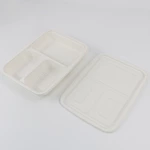 Disposable 3-Compartment Food Storage Box