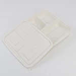 Disposable 3-Compartment Food Storage Box