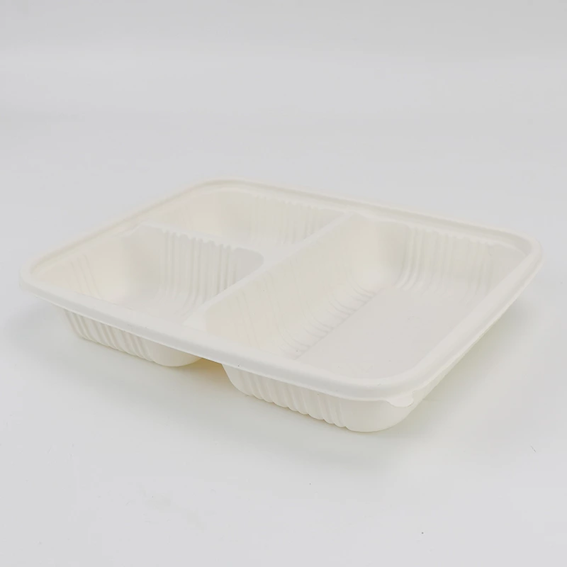 Disposable 3-Compartment Food Storage Box