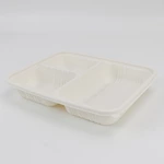 Disposable 3-Compartment Food Storage Box