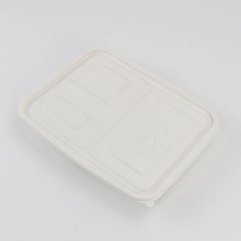 Disposable 3-Compartment Food Storage Box