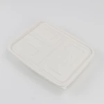 Disposable 3-Compartment Food Storage Box