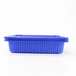 Custom take out container,food tray