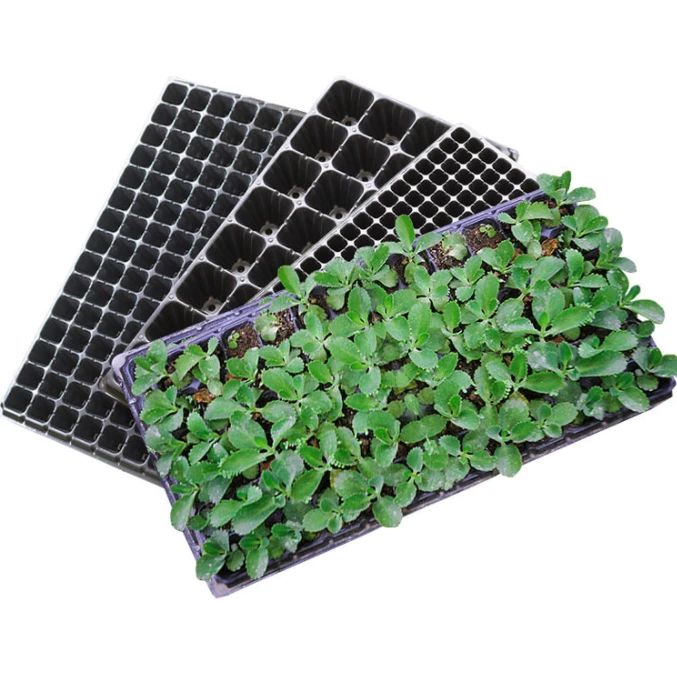 50 cells pant starter tray