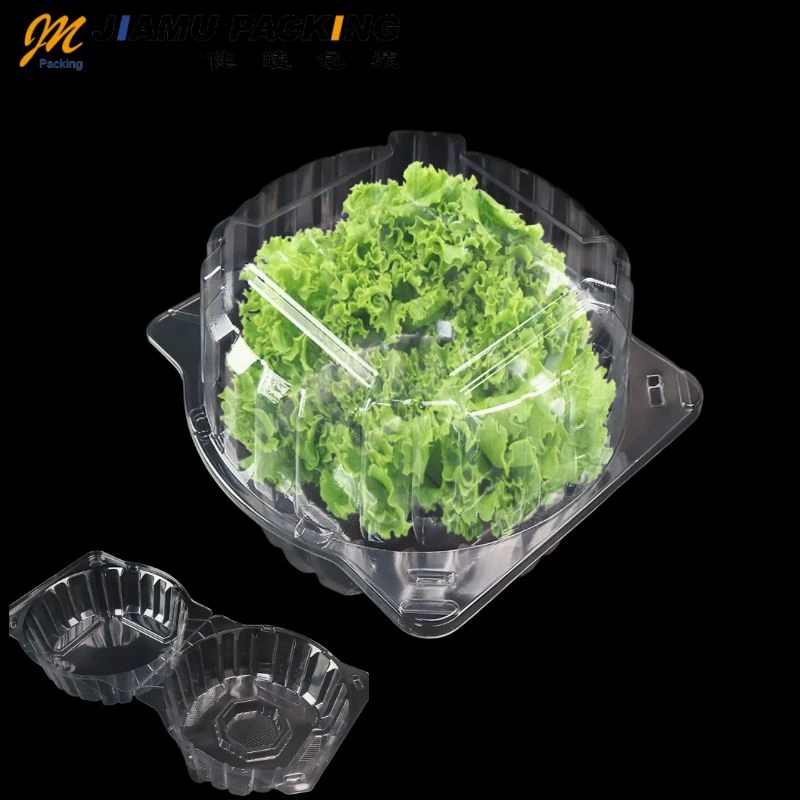 Transparent plastic vegetable packing box high permeability lettuce box