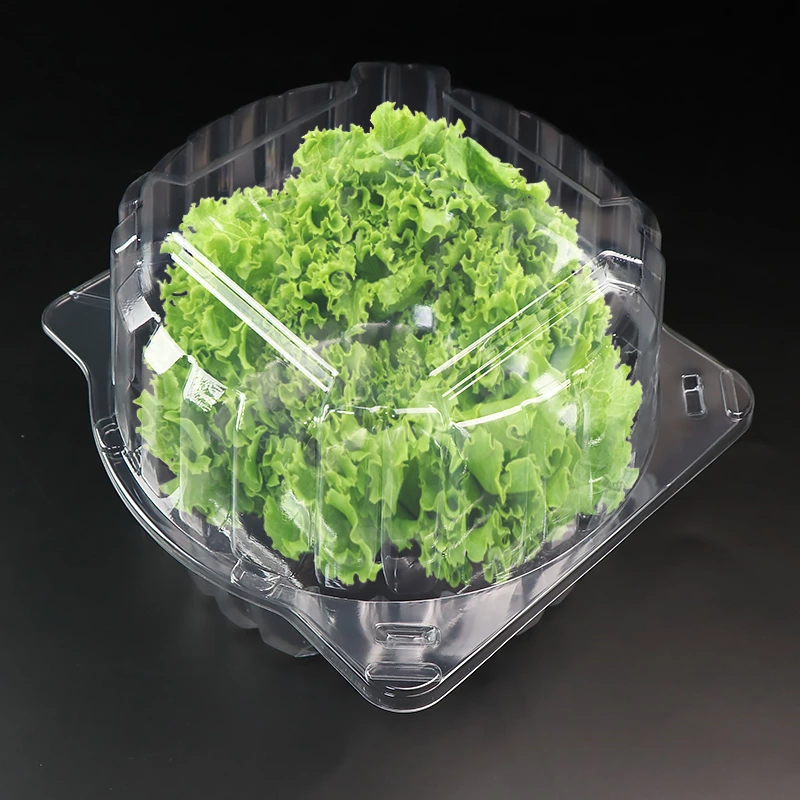 Transparent plastic vegetable packing box high permeability lettuce box