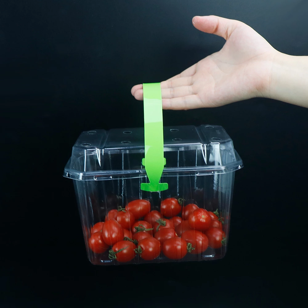 Portable fruit box disposable transparent strawberry cherry tomatoes jujube plastic packing box 2 kg fruit packing box