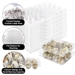 Plastic Quail Egg Cartons for Sale - 12 Cell Egg Packaging Trays