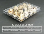 Plastic Quail Egg Cartons for Sale - 12 Cell Egg Packaging Trays