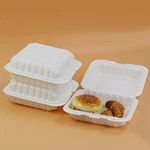 9*6 Inch Biodegradable Takeaway Box Food Container