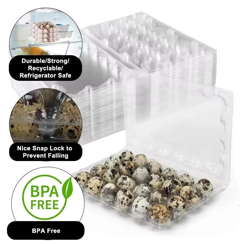 Plastic PET Quail Egg Tray for Wholesale - 24 Egg Capacity