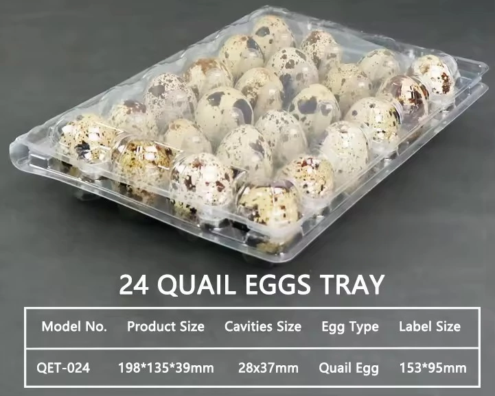 Plastic PET Quail Egg Tray for Wholesale - 24 Egg Capacity