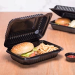 9*6 Inch Biodegradable Takeaway Box Food Container