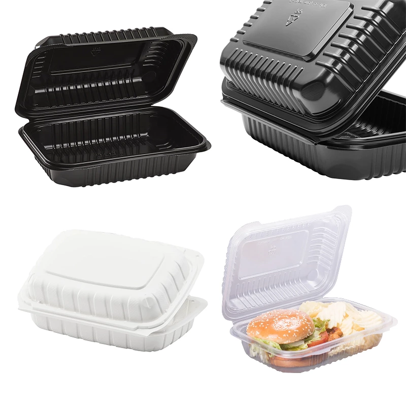 9*6 Inch Biodegradable Takeaway Box Food Container