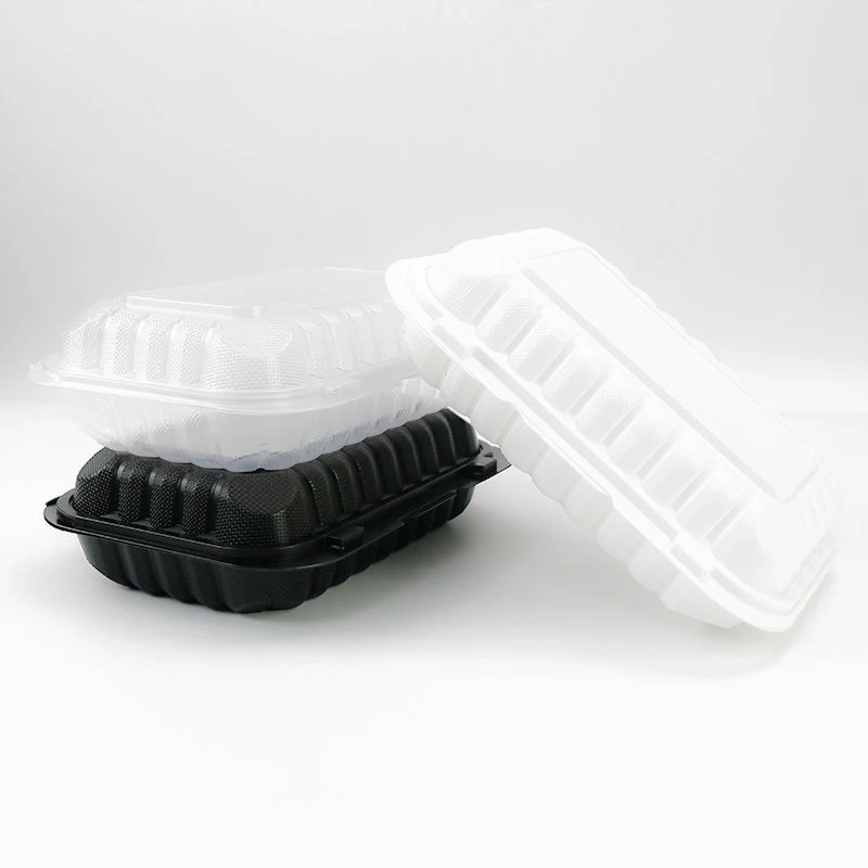 9*6 Inch Biodegradable Takeaway Box Food Container