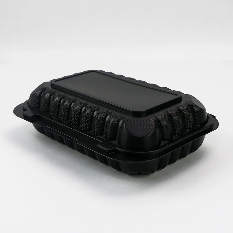 9*6 Inch Biodegradable Takeaway Box Food Container