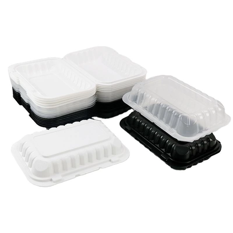 9*6 Inch Biodegradable Takeaway Box Food Container