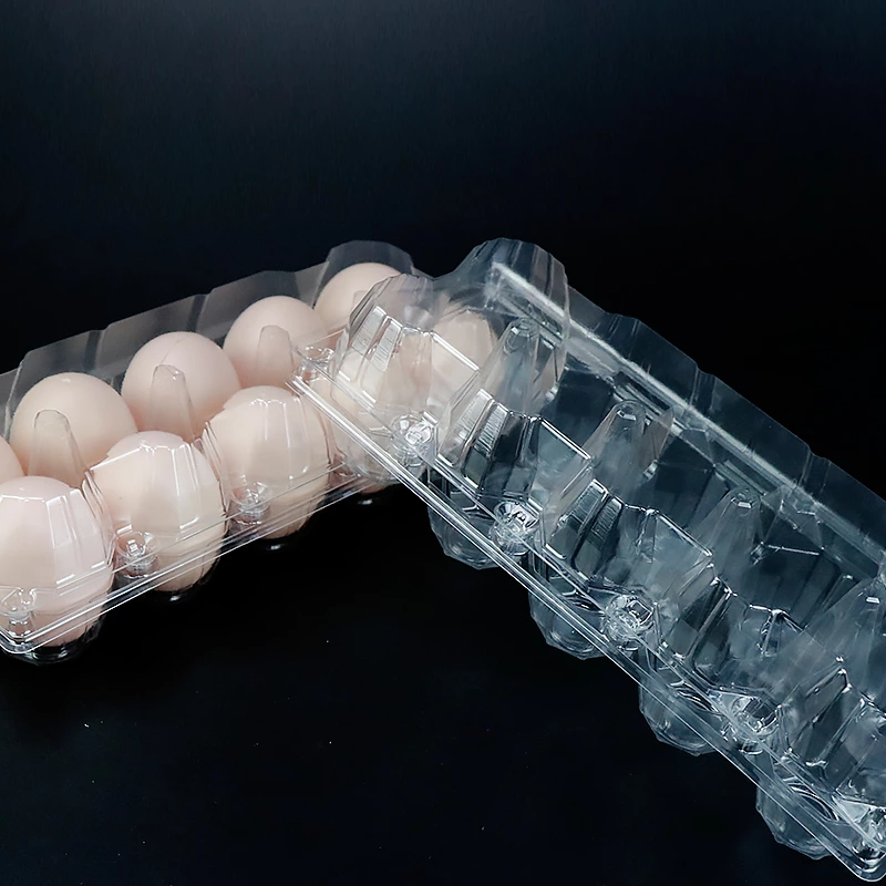 10 Holes Blister Egg Tray Packaging Plastic Chicken Egg Carton Packaging