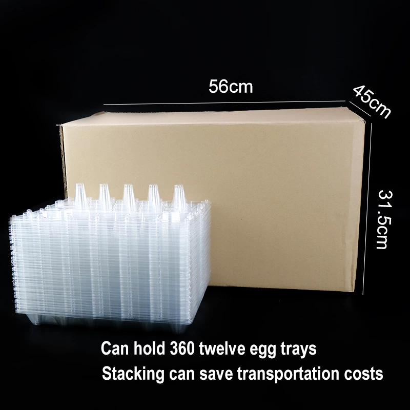 600/case Egg Cartons, Clear Plastic Cartons For Standard Dozen Eggs