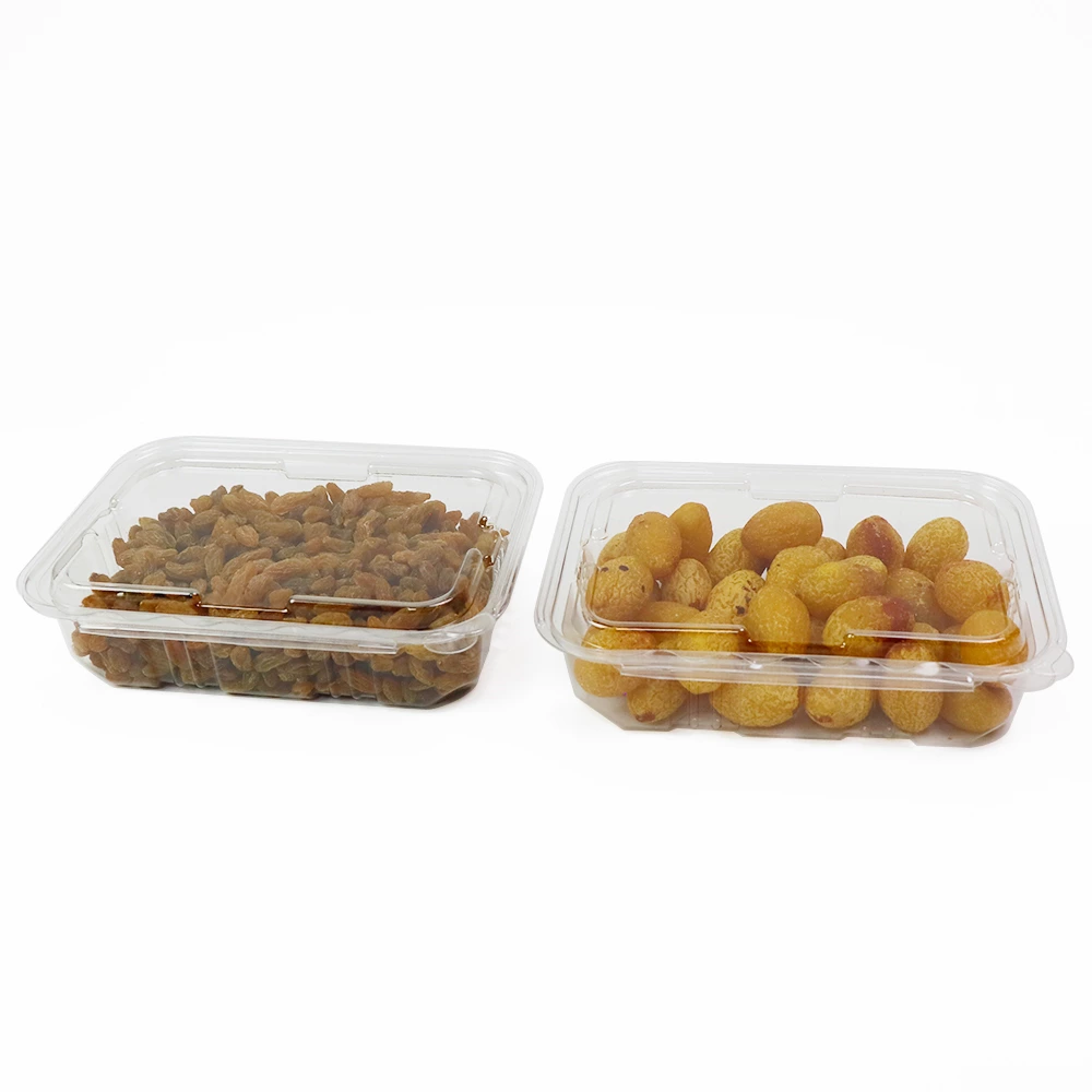 48 OZ Tamper Evident Fruit & Nuts & Bakery Container