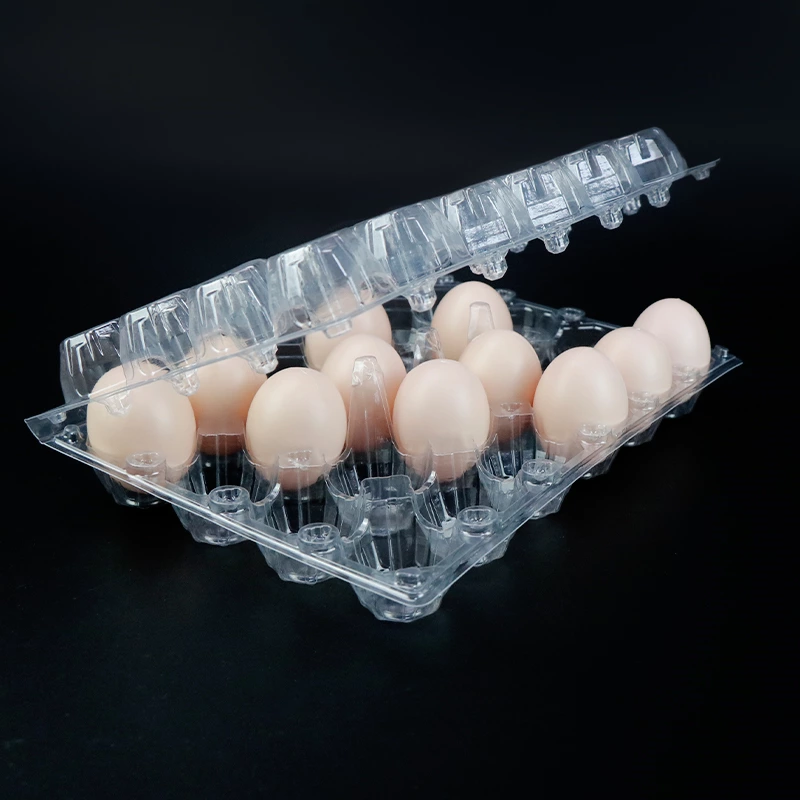 24 Holes Disposable Plastic Egg Tray, Egg Crate Packaging