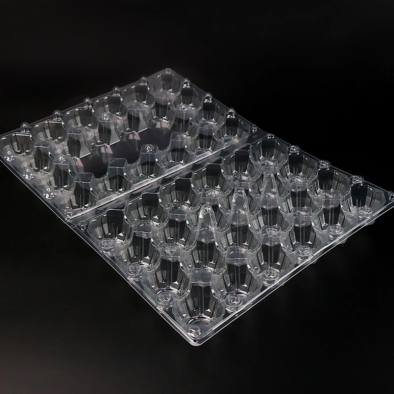 24 Holes Disposable Plastic Egg Tray, Egg Crate Packaging