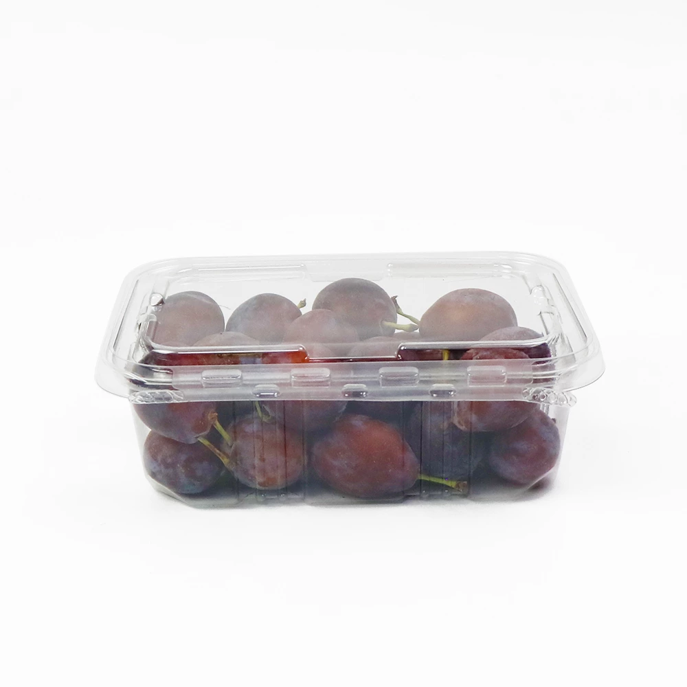 24 OZ Tamper Evident Fruit & Nuts Container