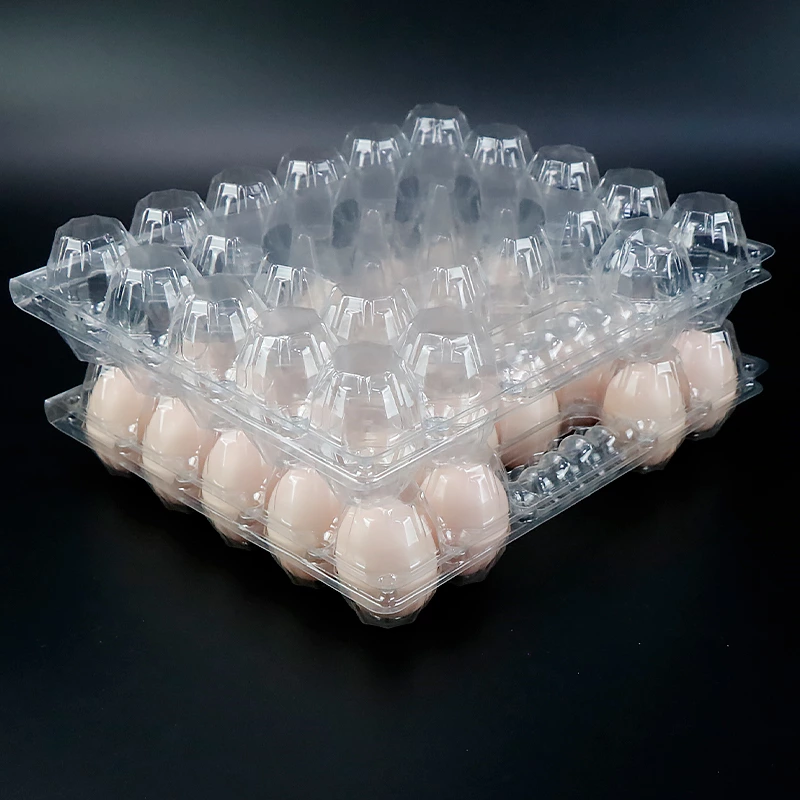 28 Holes Wholesale Transparent Disposable Blister Plastic Egg Cartons With Handle