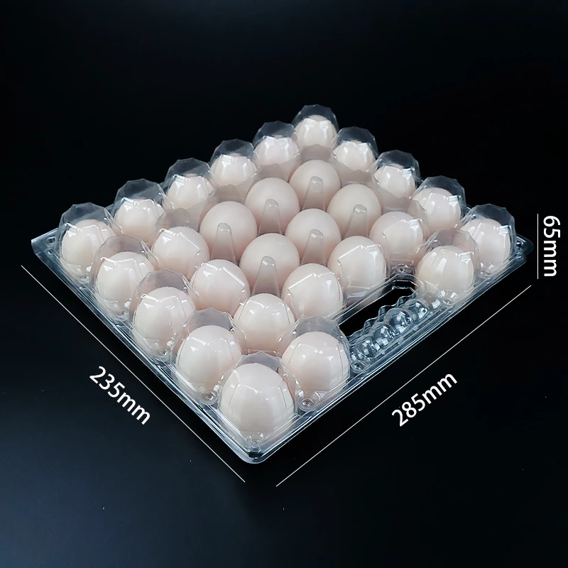 12 Holes Plastic Clear Chicken Egg Tray