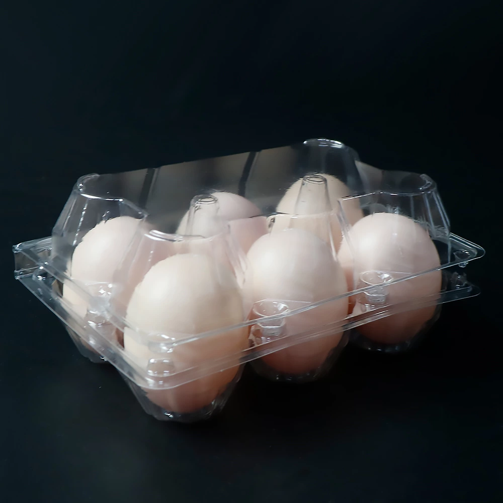 6 Egg Box, Disposable Egg Tray