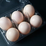 6 Holes Durable Egg Packaging Tray Plastic High Quality Cheap Transparent Egg Trays Egg Box