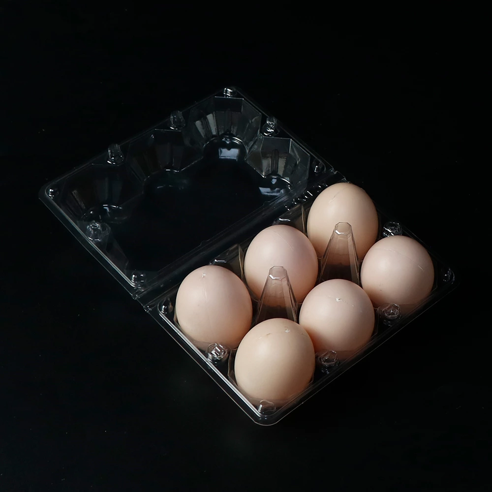 Half Dozen 6 Pack Bulk Plastic Egg Cartons