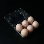 6 Egg Box, Disposable Egg Tray