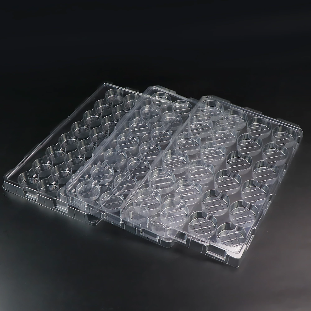 Disposable Clear Cosmetic Brushes Blister Tray