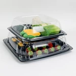 Plastic Catering Tray Lids Medium 9*9inch