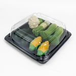 Plastic Catering Tray Lids Small 9*6inch