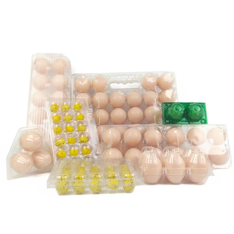 2 Holes PET Carton Chicken Carton Egg Case Packaging Plastic Egg Tray Supplier