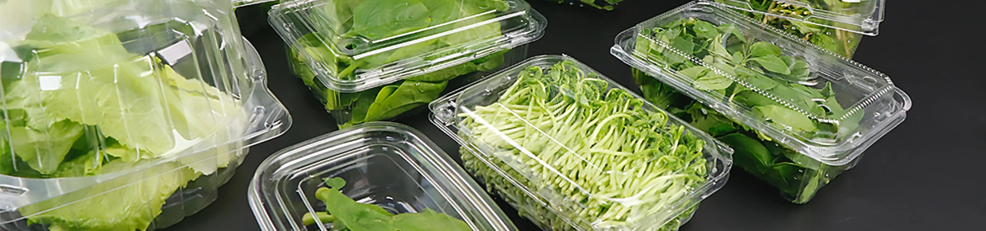 Fresh Vegetable Packing Container