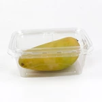 8 12 16 20 24 32 35 48 64OZ Tamper-Evident Square Hinged Container with Flat Lid